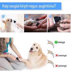 Molinillo de uñas eléctrico recargable para mascotas Užsisakykite Trendai.lt 11